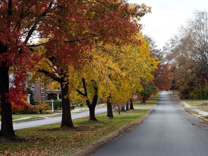 Movers in Hyattsville, MD